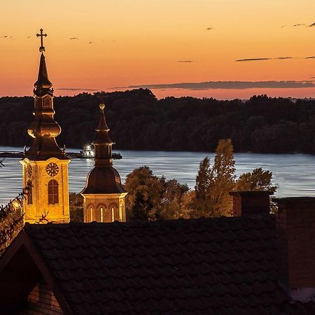 Sremska KamenicaSakota Family Houseアパートメント エクステリア 写真