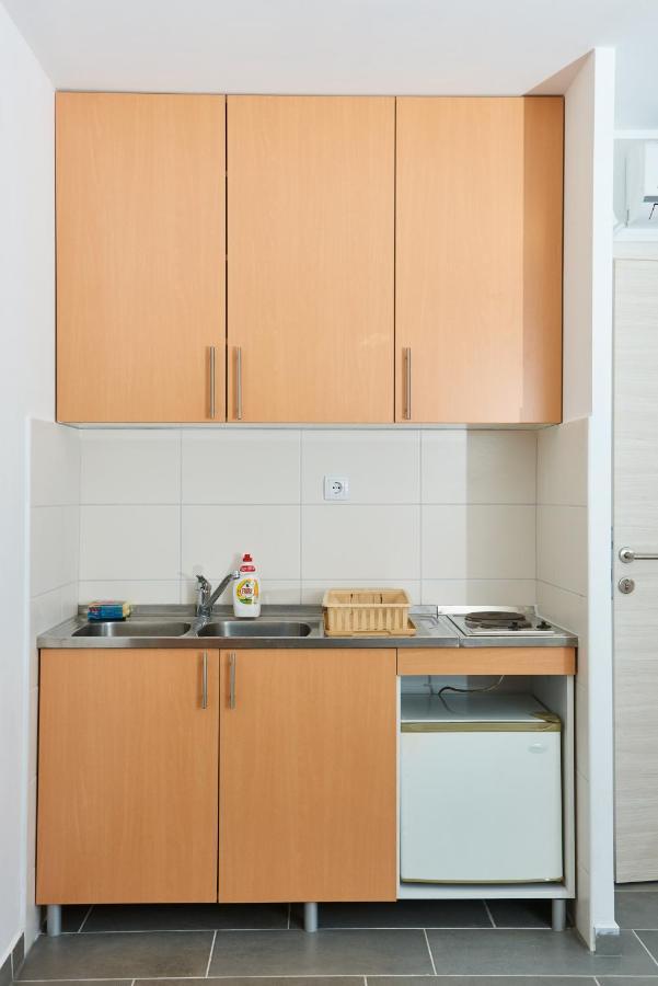 Sremska KamenicaSakota Family Houseアパートメント エクステリア 写真