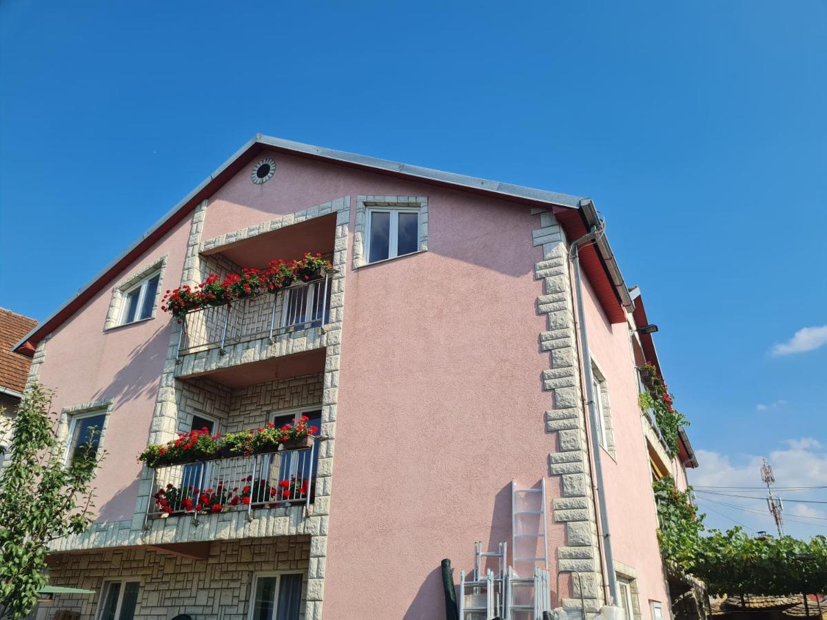 Sremska KamenicaSakota Family Houseアパートメント エクステリア 写真
