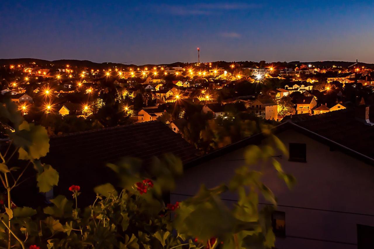 Sremska KamenicaSakota Family Houseアパートメント エクステリア 写真